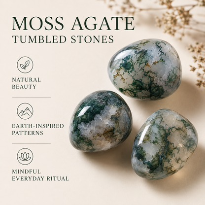 Moss Agate Tumbled Crystals (Generosity and Resolution)