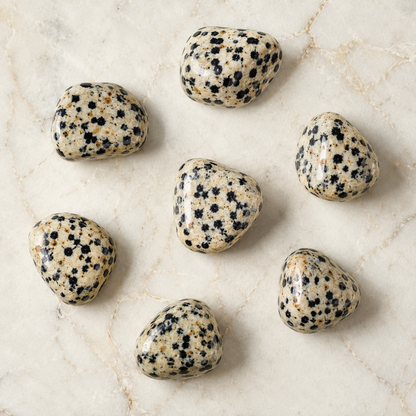 Dalmatian Jasper Tumbled Crystals (Luck And Good Fortune and Manifestation)  DestGlow