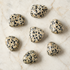 Dalmatian Jasper Tumbled Crystals (Luck And Good Fortune and Manifestation)  DestGlow