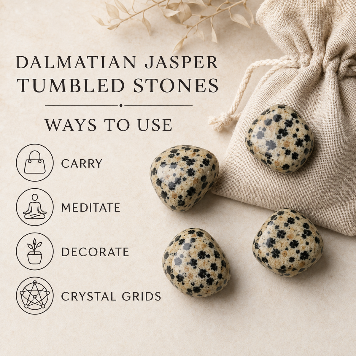 Dalmatian Jasper Tumbled Crystals (Luck And Good Fortune and Manifestation)  DestGlow