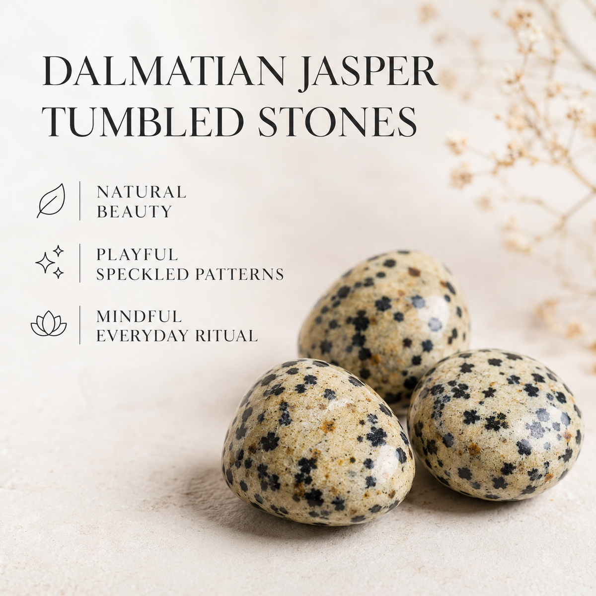 Dalmatian Jasper Tumbled Crystals (Luck And Good Fortune and Manifestation)  DestGlow