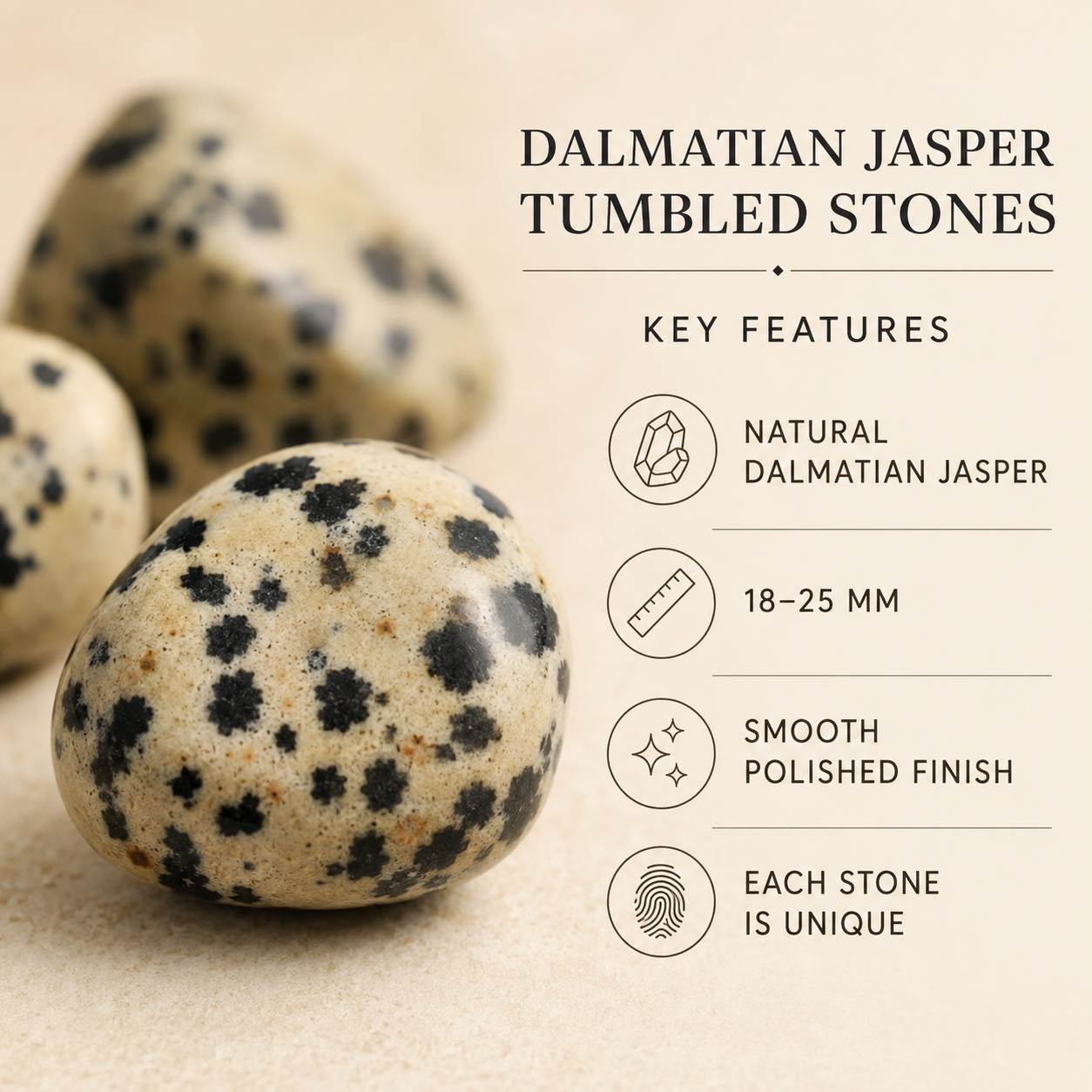 Dalmatian Jasper Tumbled Crystals (Luck And Good Fortune and Manifestation)  DestGlow