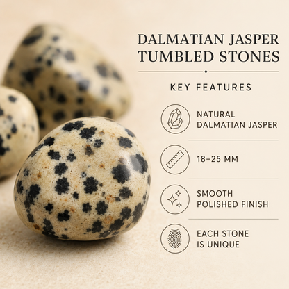 Dalmatian Jasper Tumbled Crystals (Luck And Good Fortune and Manifestation)  DestGlow