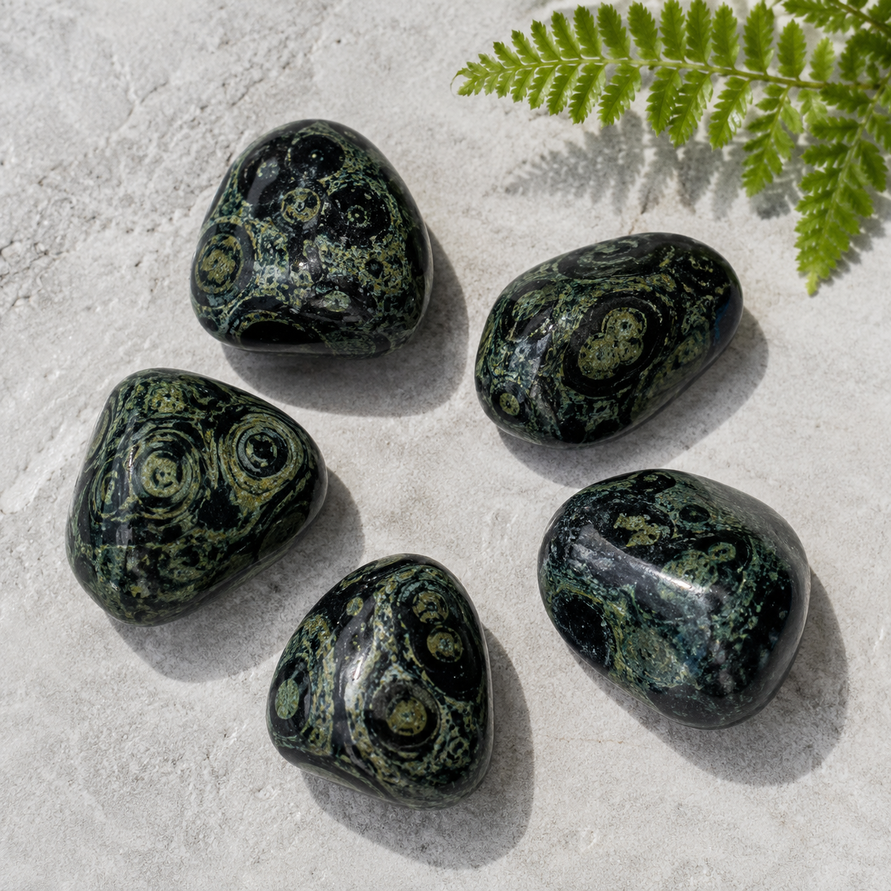 Kambaba Jasper Tumbled Crystals (Growth and Self Discovery)  DestGlow