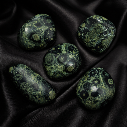 Kambaba Jasper Tumbled Crystals (Growth and Self Discovery)