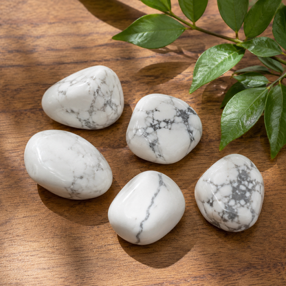Howlite Tumbled Crystals (Insight and Inspiration)  DestGlow