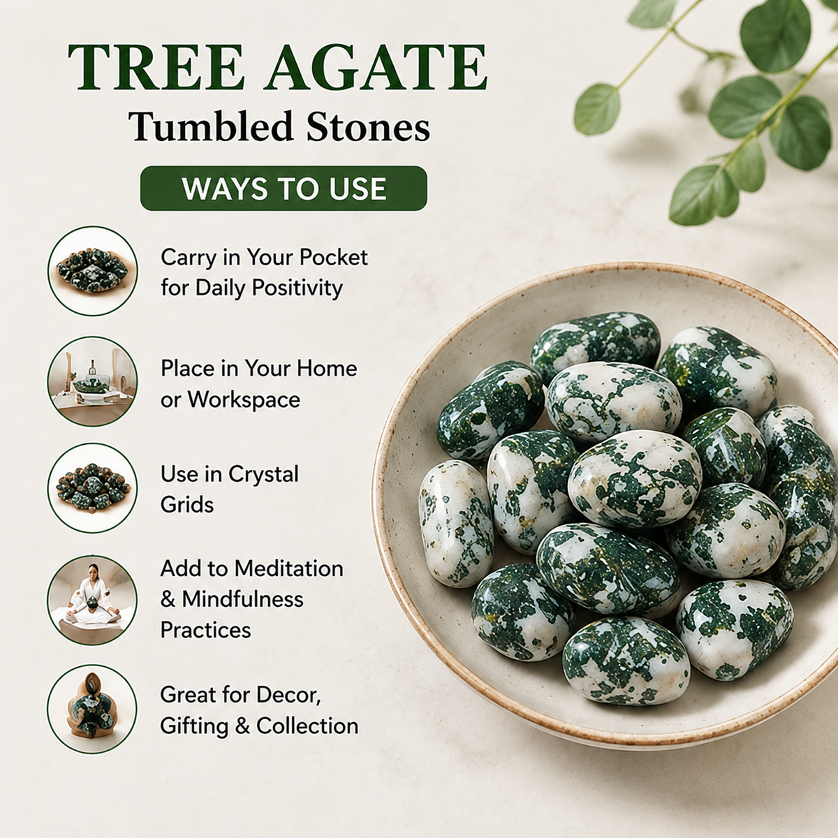 Tree Agate Tumbled Crystals (Knowledge and Trust)  DestGlow