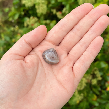 Botswana Agate Tumbled Crystals (Transformation and Angelic Communication)  DestGlow