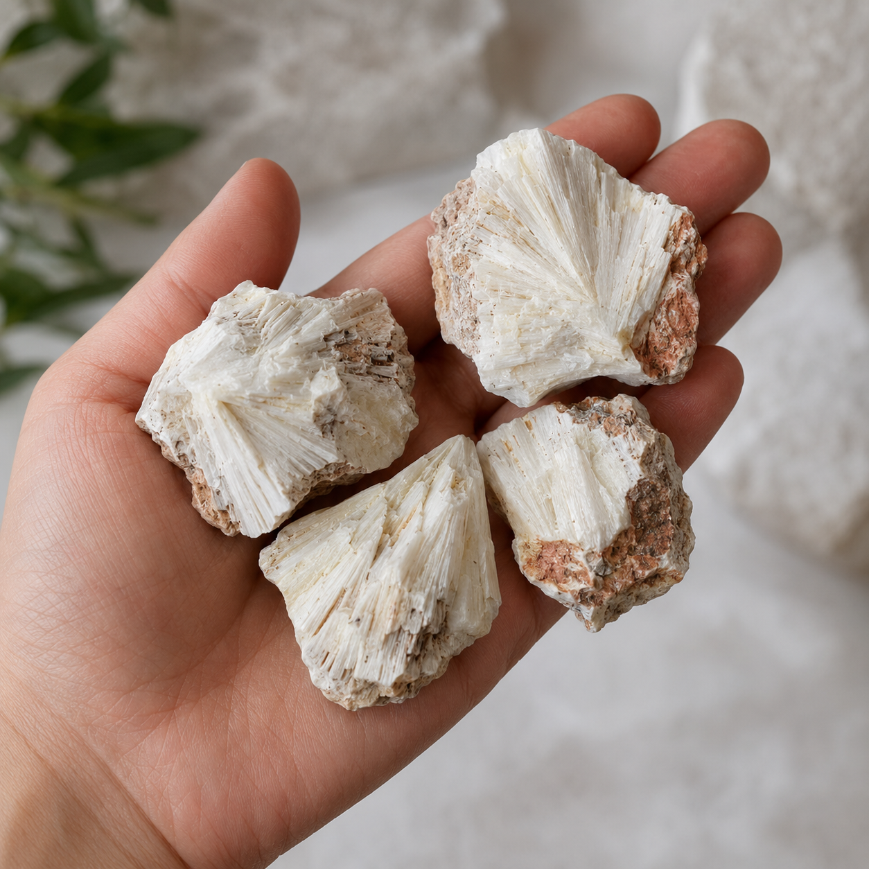 Scolecite Rough Rocks(Purification and Joy)  DestGlow