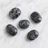 Larvikite Tumbled Crystals (Manifestation and Knowledge)  DestGlow