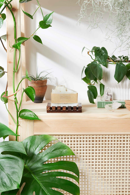 Sweet Citrus with Calendula