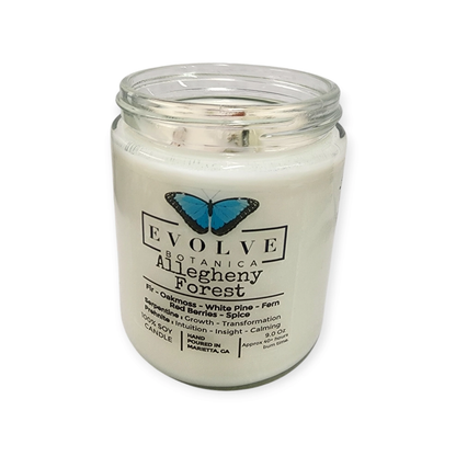 Classic 9oz Jam Jar Crystal Soy Candle - Allegheny Forest (Serpentine &amp; Prehnite)