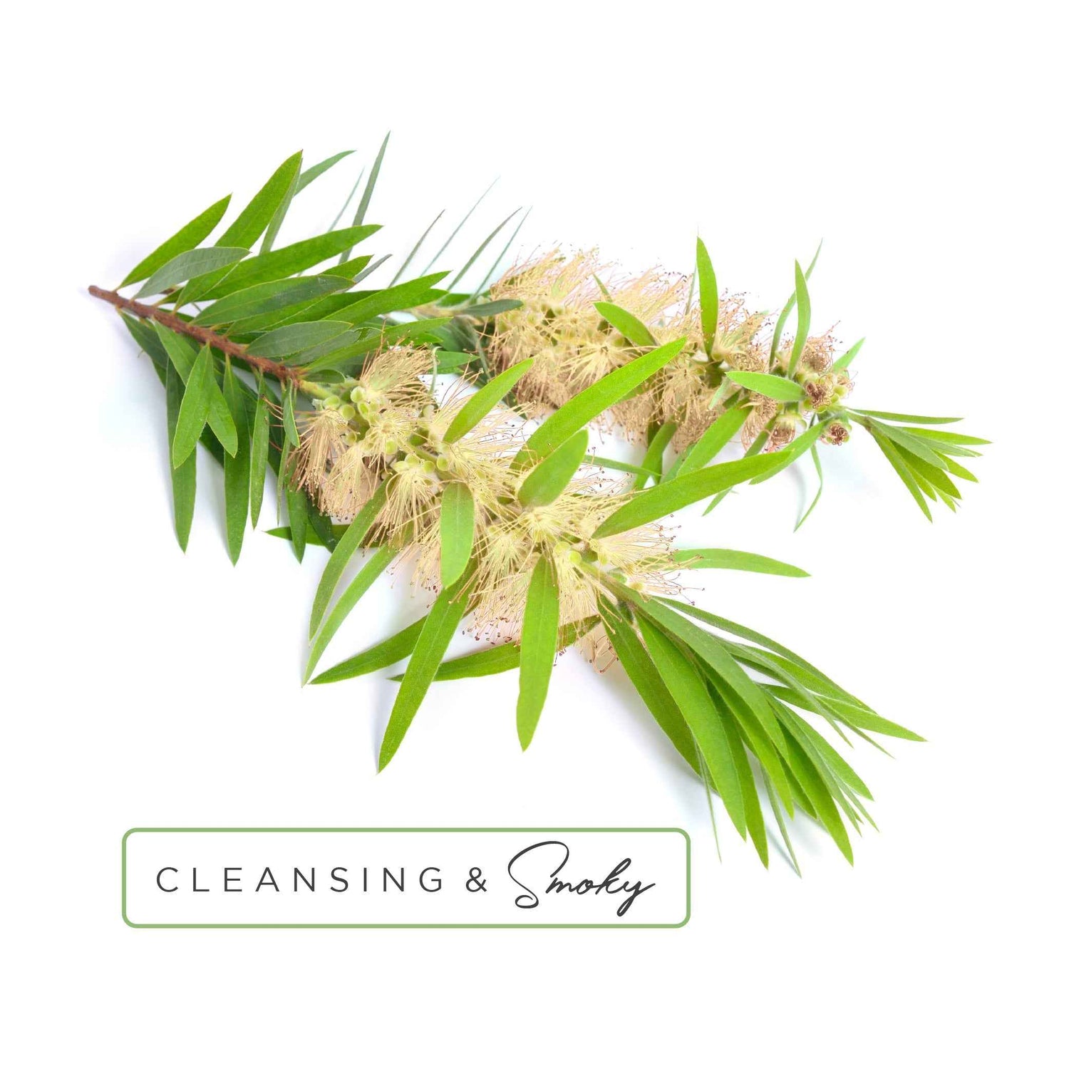 Essential Oil Roll-On in Healing