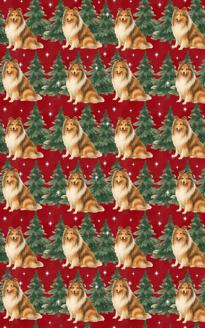 Collie in Winter Pines