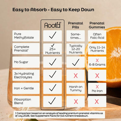 Essential Prenatal Nutrition + Electrolytes  DestGlow