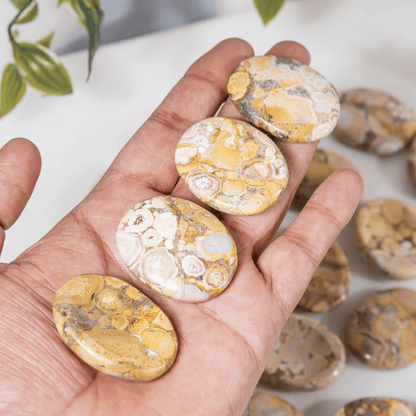Conglomerate Pocket Stones(Depression and Negativity)  DestGlow