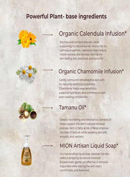 Face Wash Refill | with Rose Hip and Tamanu Oils by MION Artisan Soap Co.