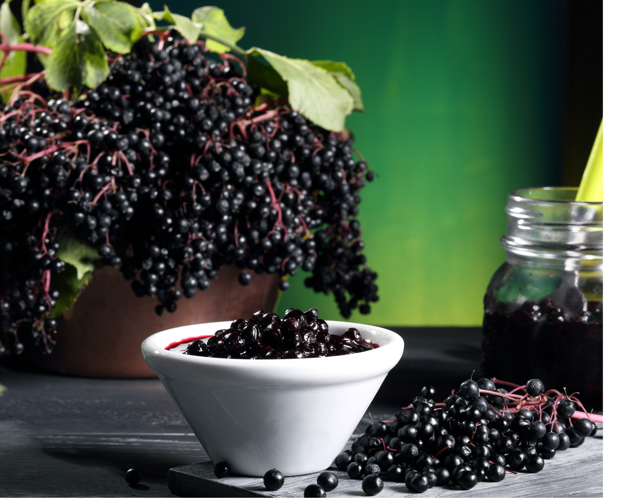 Elderberry - Natures&