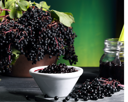 Elderberry - Natures&