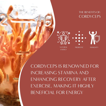 Cordyceps Schisandra Cinnamon Berry Mushroom Herbal Coffee