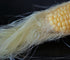 Cornsilk, Cut & Sifted 