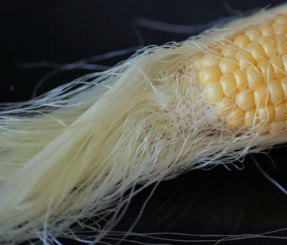 Cornsilk, Cut &amp; Sifted