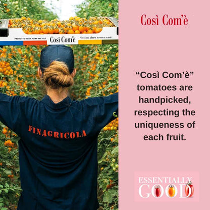 Così Com’è Datterino Red Tomatoes – Unpeeled in Water, 12.3 oz