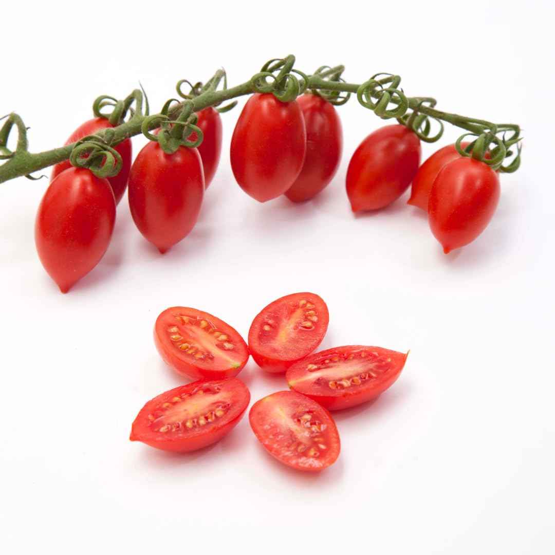 Così Comè Datterini Tomatoes in Juice – 12.3 oz (350 g)