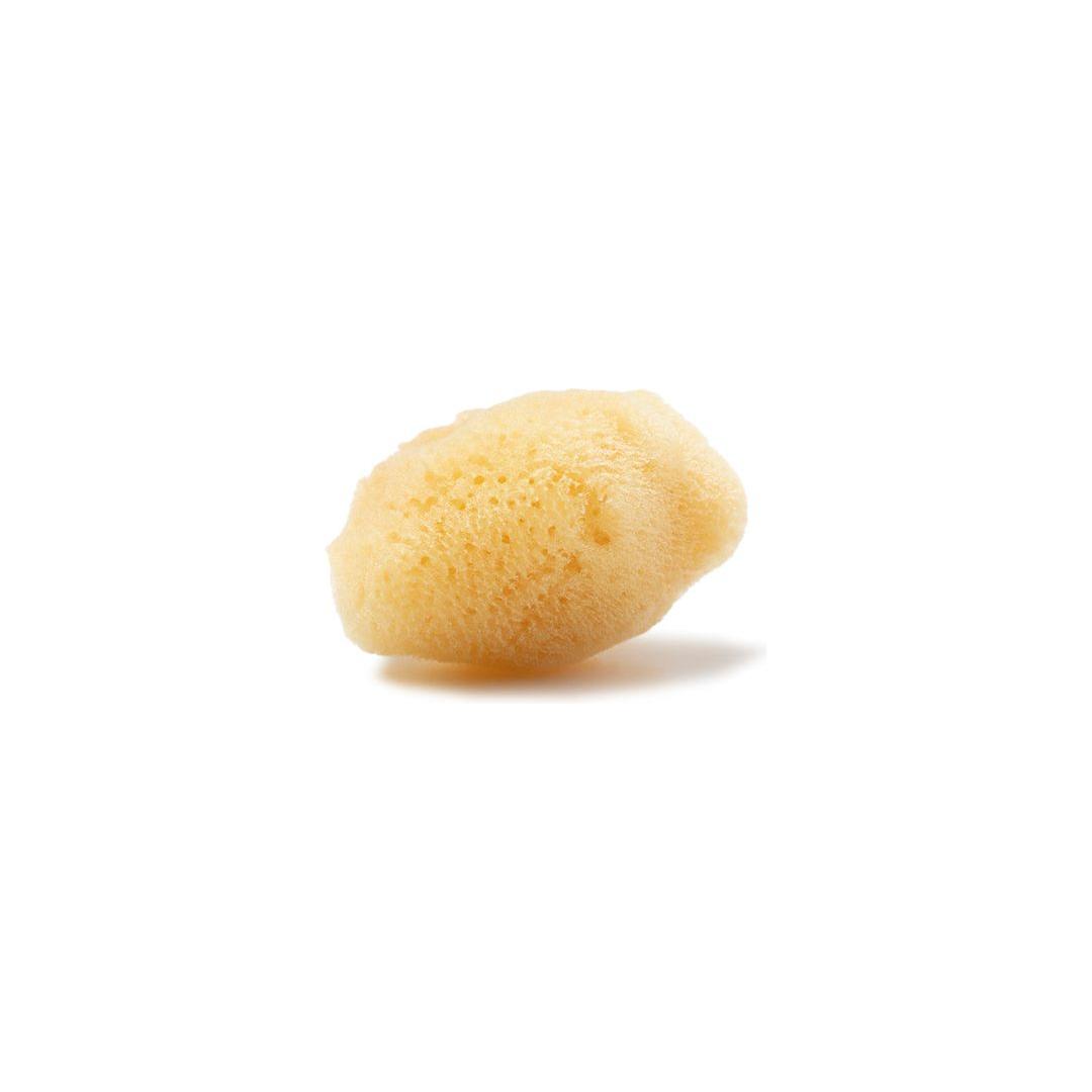 The Sponge Company Sea-Silk Cosmetic Sponge 