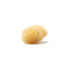 The Sponge Company Sea-Silk Cosmetic Sponge 