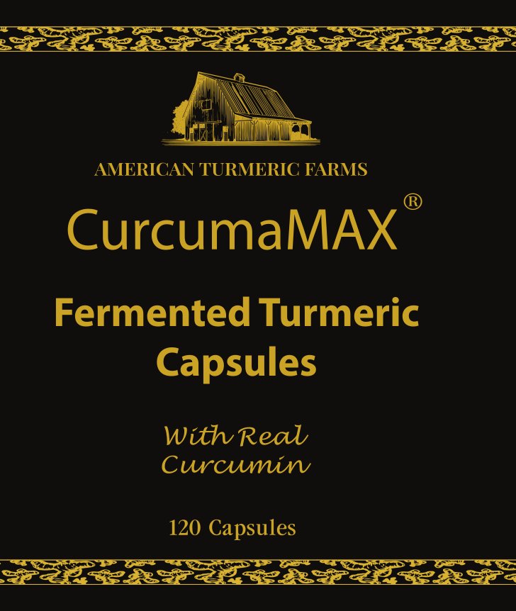 CurcumaMAX Fermented Turmeric Capsules – Enhanced Curcumin, Lead-Free – 120 Count  DestGlow