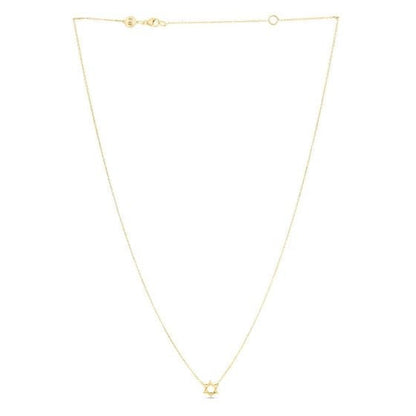 14k Yellow Gold Star of David Necklace by Bids.com