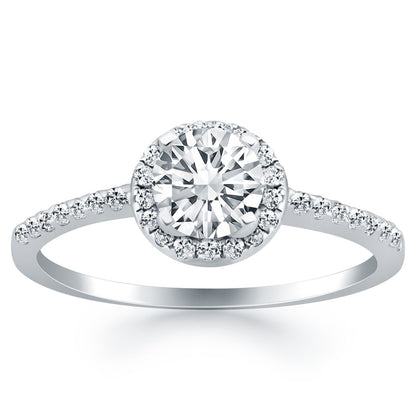 14k White Gold Diamond Halo Collar Engagement Ring by Bids.com