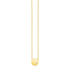 14k Yellow Gold Necklace with Polished Round Pendant with Diamond 