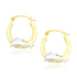 10k Two-Tone Gold Round Graduated Dolphin Design Hoop Earrings