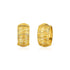 14k Yellow Gold Diamond Cut Hoop Design Earrings 