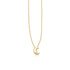 14k Yellow Gold Polished Moon Necklace with Diamond by Avera Group