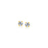 14k Yellow Gold Stud Earrings with Faceted White Cubic Zirconia(2mm) by Avera Group