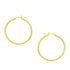 10k Yellow Gold Polished Hoop Earrings (2x30mm) 