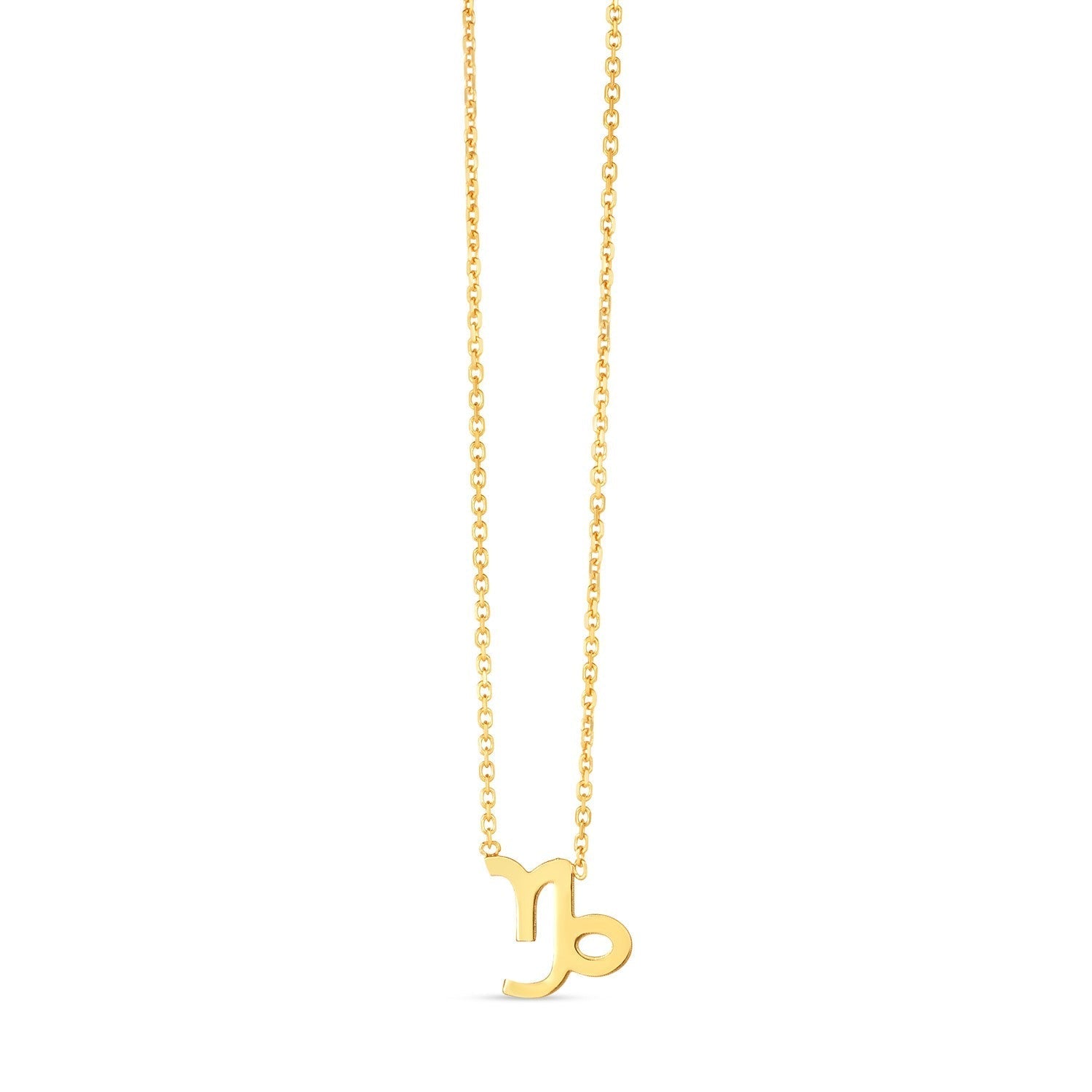 14K Yellow Gold Capricorn Necklace  DestGlow