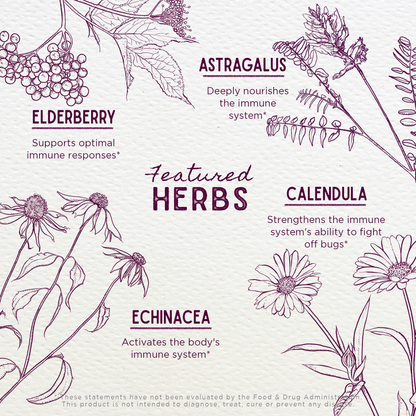 Daily Immune Builder For Kids by WishGarden Herbs