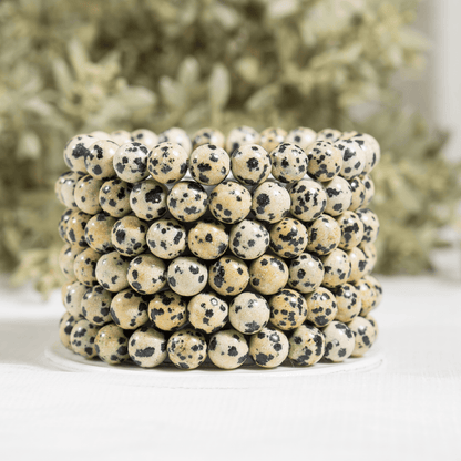 Dalmatian Jasper Bracelet(Altruism and Past Life Recall)  DestGlow