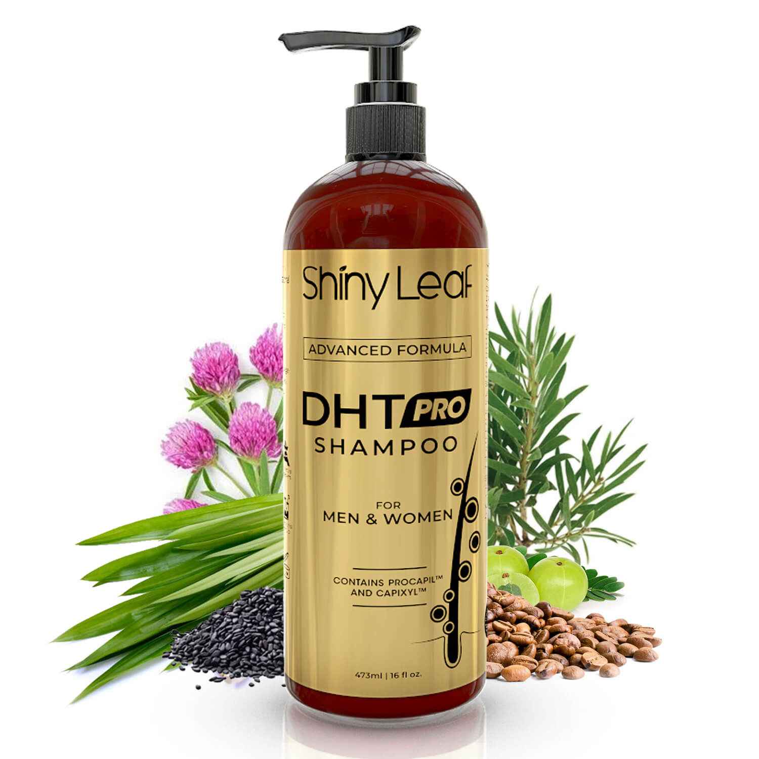 DHT Pro Shampoo with Procapil and Capixyl for Anti-Hair Loss 16 oz Shiny Leaf