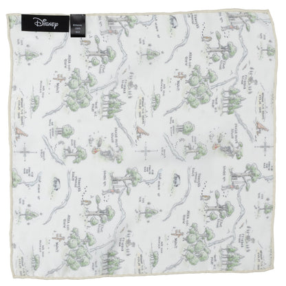 Disney Winnie the Pooh Map Pocket Square by Cufflinks.com
