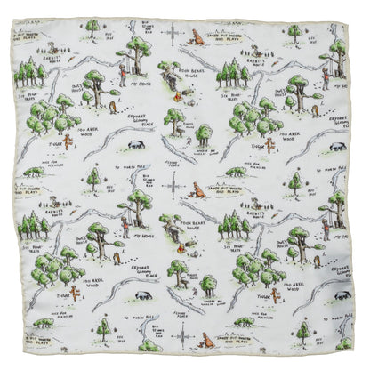 Disney Winnie the Pooh Map Pocket Square by Cufflinks.com