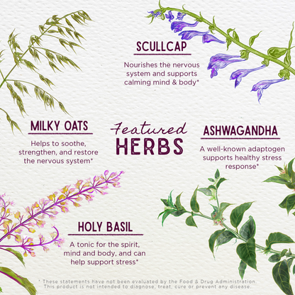 Deep Stress Daily Calm by WishGarden Herbs