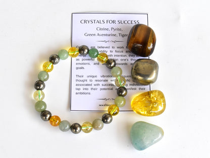 Attract SUCCESS Crystal Kit, Gemstone Tumble Kit, Success Crystal Gift Set  DestGlow