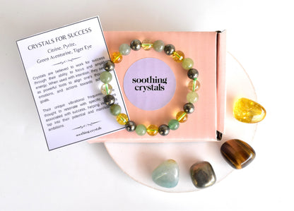Attract SUCCESS Crystal Kit, Gemstone Tumble Kit, Success Crystal Gift Set  DestGlow