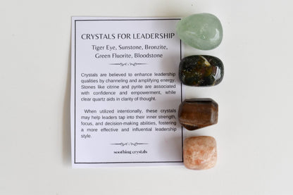 Inspire LEADERSHIP Crystal Kit, Gemstone Tumble Kit, Leadership Crystal Gift Set  DestGlow
