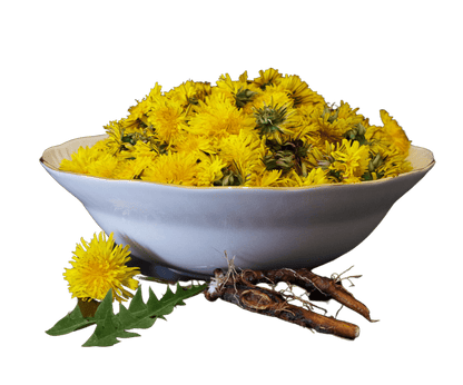 Dandelion Root, Organic, Cut, Sifted  DestGlow